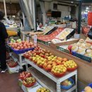 양지-2851 이미지