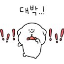 문어의꿈 인천계양점