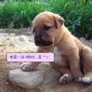 꽁트 - 수성구 노변공원로 89 | 꽁트