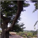 장독 이미지