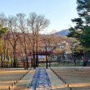 서오릉산책