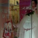 홍성비너스 티스토리