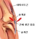여주코코 이미지