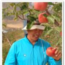 덕현농장 이미지