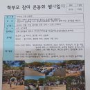 10월 열린어린이집 운영보고 1. ( 가족 운동회) 이미지