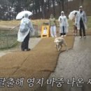 영석목장 이미지