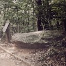 국사봉 지석묘군 이미지