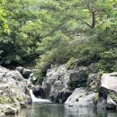 토마토펜션 이미지