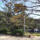 내서읍126 이미지