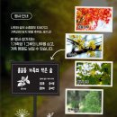 [대전 갑천생태호수공원] 나무심기 행사 후기｜생각보다 뿌듯했던 하루