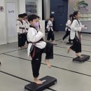 감사랑스포렉스