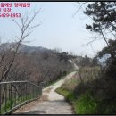 옥도면 장자도리 이미지