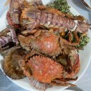 코끼리식당 | 거제도 성포회식당 - 왕우럭조개, 코끼리조개 내돈내산 리얼후기