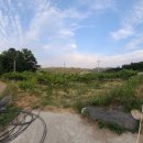 치상농장 이미지