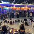 용인대 무궁화 태권도장 이미지