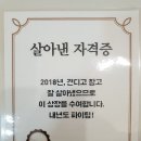 푸른햇살
