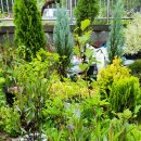 예나농장 이미지