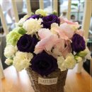 벧엘네츄럴