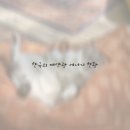 미래태양광 네이버블로그