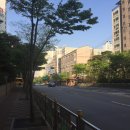 강남-049 이미지