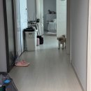 (유)보미 | ㅎㅐㅎㅐ