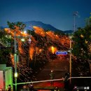 2025세종낙화축제 정보 작년후기 주차장 주의사항
