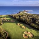 골프파라다이스 이미지