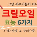 크릴오일효능 6가지 (다이어트 외), 먹는방법과 부작용도 확인 조회수 4.8만회 3년 전 이미지