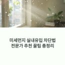 미세먼지 실내유입 차단법, 전문가가 추천한 꿀팁 (내가 직접 해본 리얼 후기까지!)