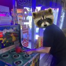 신탄진 오락실 이미지