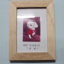 마루애견 이미지