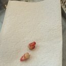 함사랑치과의원 이미지