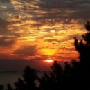 산호회집 이미지