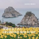 [공지] 부산 해파랑길 1코스 걷기 오륙도 수선화부터 해운대까지 걷는 힐링 여행