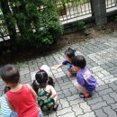 멍멍아 놀자 이미지