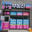 무학부동산 공인중개사사무소 네이버블로그