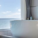 더모스트3 이미지