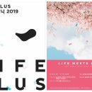 벚꽃플러스 이미지