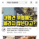 우람동물병원 이미지