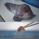 사계에반하다 이미지