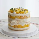 편백로 | 경남 창원 진해 케이크 추천 쉬폰사르르 망고케이크 후기