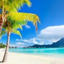 보라보라 이미지