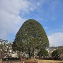 전통바느질 익히기 및 생활 소품 제작 | 국립대구박물관 대구박물관후기 대구가볼만한곳 대구실내데이트 대구주말데이트 대구체험 미디어아트...