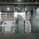 골드펫리조트 네이버블로그