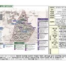 보름달에 꽃비 내리는 정다운 골목 스토리 이미지