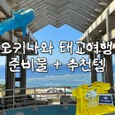 하이프리퀀시 | 오키나와 태교여행 준비물 추천템 총정리 (임신 8주 실제 후기)