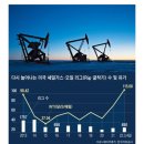 설도석유 이미지