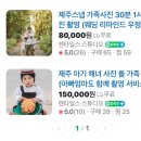 젠타일스 스튜디오