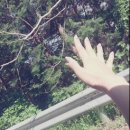 태풍은불어도철가방은간다 이미지