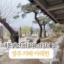 씨유 경주하동점 | 경주 아래헌 카페 후기. 내돈내산 아기와 가기 좋은 한옥 하동저수지 뷰 맛집